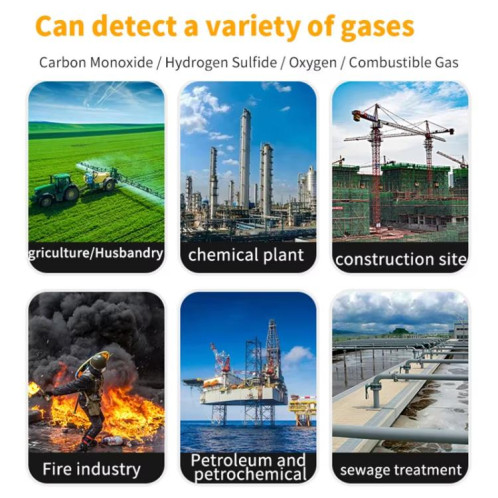 Détecteur de gaz 4 en 1 SNDWAY SW7500A, gaz combustible, oxygène, sulfure d'hydrogène, détection de substances toxiques et nocives, antidéflagrant, spécifications : standard SS270177-09